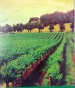 A compititiv book of agriculture in hindi visva bhavan publication - Image 3