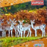Copeco (Size 18 x 24cm )176-Page Notebook Fourline With Gap