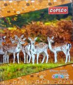 Copeco (Size 18 x 24cm )176-Page Notebook Fourline With Gap