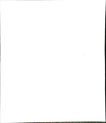 SPIRAL BLANK NOTEBOOK 180 PAGE A4 SIZE - Image 3