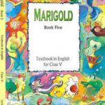 NCERT Marigold - Class 5 In English