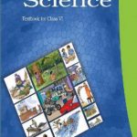 NCERT Science - Class 6 In English