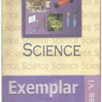 NCERT Exemplar Problems Science for Class 6 In English