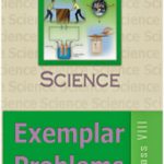 NCERT Exemplar Problems Science  ( vigyan ) for Class 8 In English