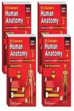 BD Chaurasiya Human Anatomy Set Of 4Volume (Vol1to Vol-4 ) 8th Edition - Image 2